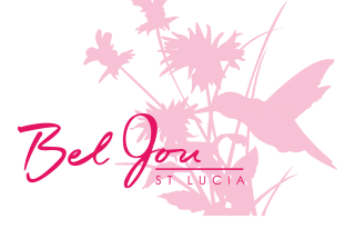 Bel Jou Logo No Background