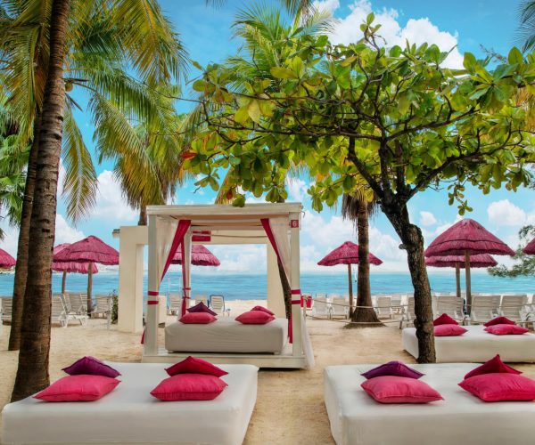 Grand Oasis Palm